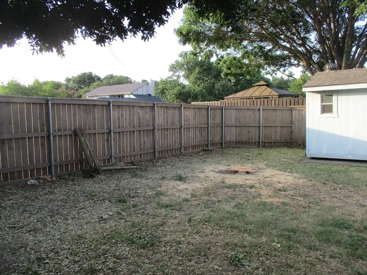 Cleared yard after professional tree removal in South Greenfield
