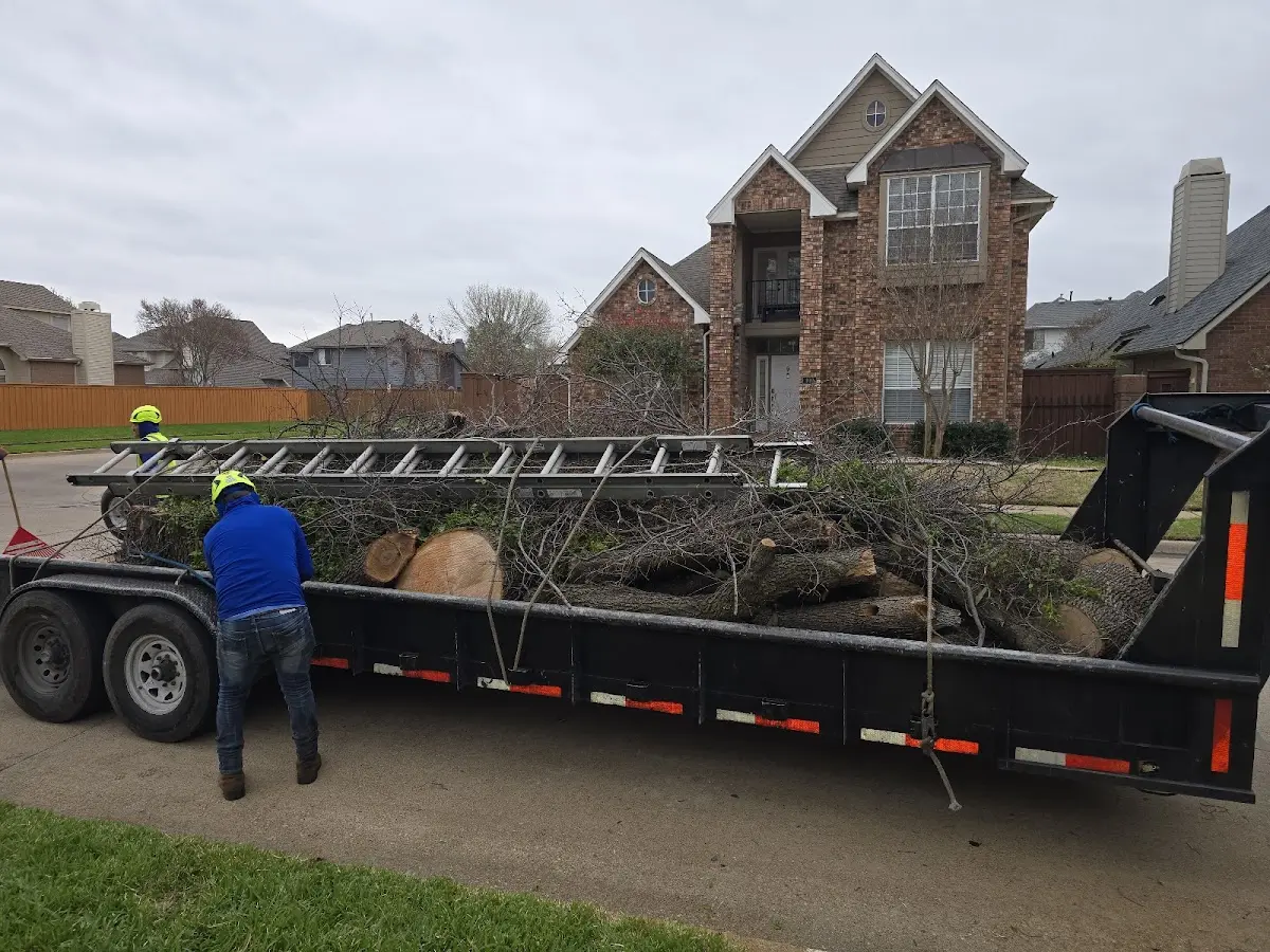 Expert Tree Pest Control with proper safety equipment in South Greenfield